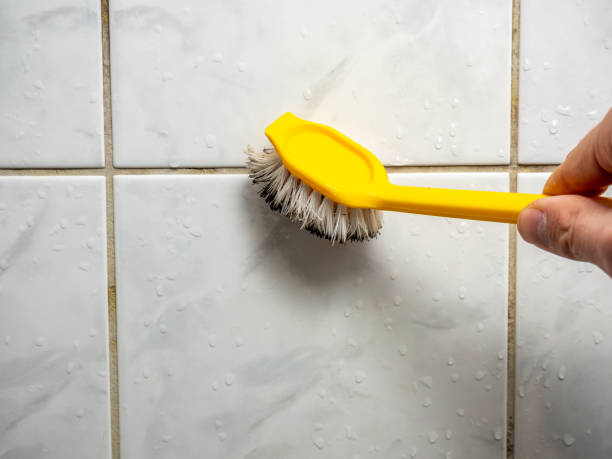 Best Home Mold Removal  in Dallas Center, IA