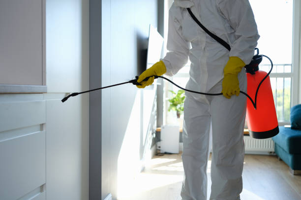 Best Mold Cleaning Services  in Dallas Center, IA