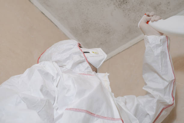 Dallas Center, IA Mold Removal Company